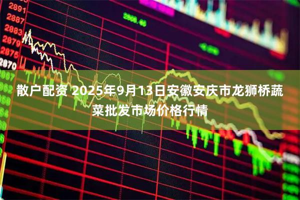 散户配资 2025年9月13日安徽安庆市龙狮桥蔬菜批发市场价格行情