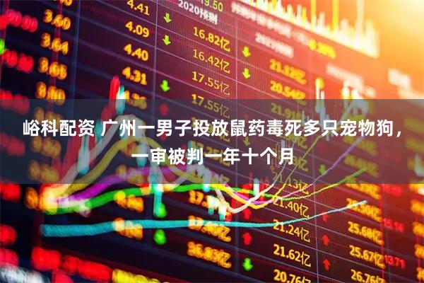 峪科配资 广州一男子投放鼠药毒死多只宠物狗，一审被判一年十个月