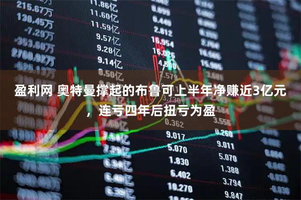 盈利网 奥特曼撑起的布鲁可上半年净赚近3亿元，连亏四年后扭亏为盈