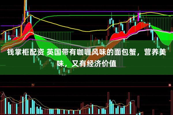 钱掌柜配资 英国带有咖喱风味的面包蟹，营养美味，又有经济价值