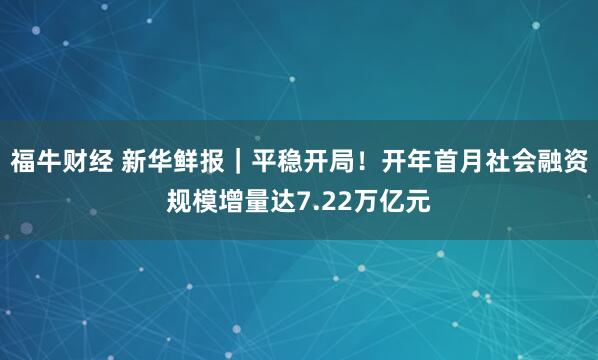 福牛财经 新华鲜报｜平稳开局！开年首月社会融资规模增量达7.22万亿元