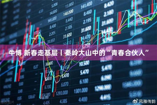 牛博 新春走基层丨秦岭大山中的“青春合伙人”