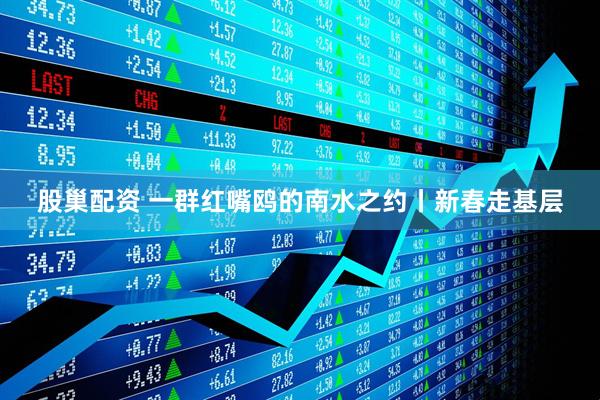 股巢配资 一群红嘴鸥的南水之约丨新春走基层