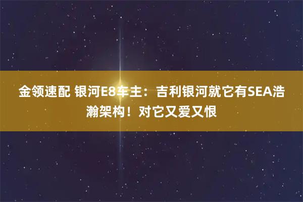 金领速配 银河E8车主：吉利银河就它有SEA浩瀚架构！对它又爱又恨